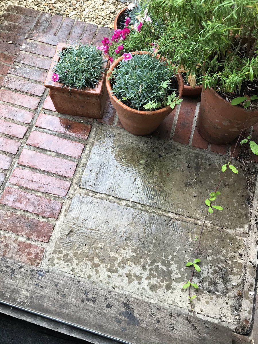 Pippa Greenwood tweet media