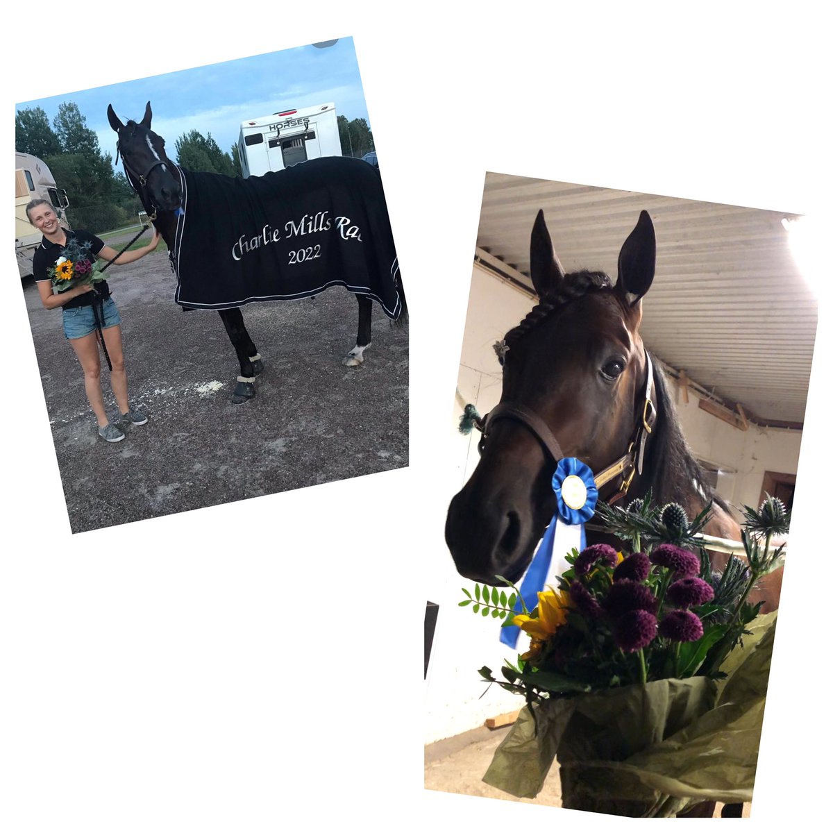 Dubbelseger till stallet! Perseus Digital och Kalashnikov tog igår varsin seger på Romme! 🖤 Stort grattis till alla i kretsarna krig hästarna! 🥂