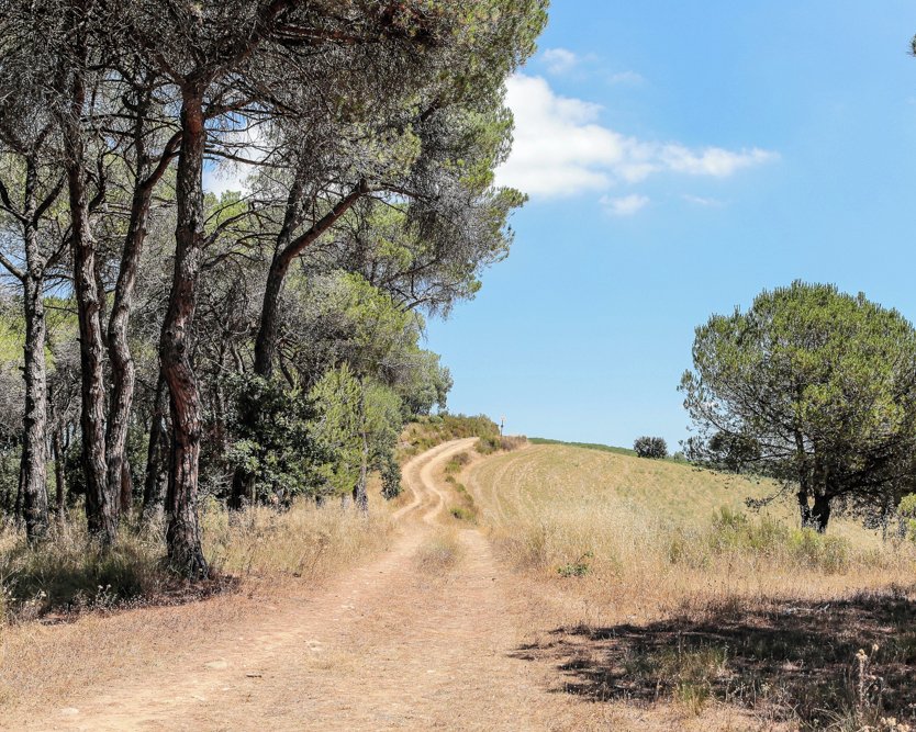 Hotel Augusta Valles tweet media