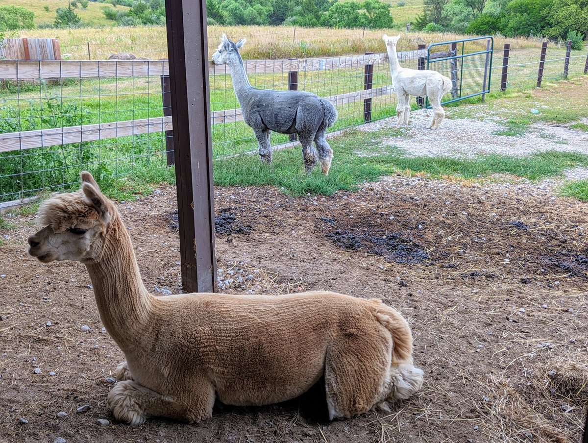 DocBohn's tweet image. Good morning