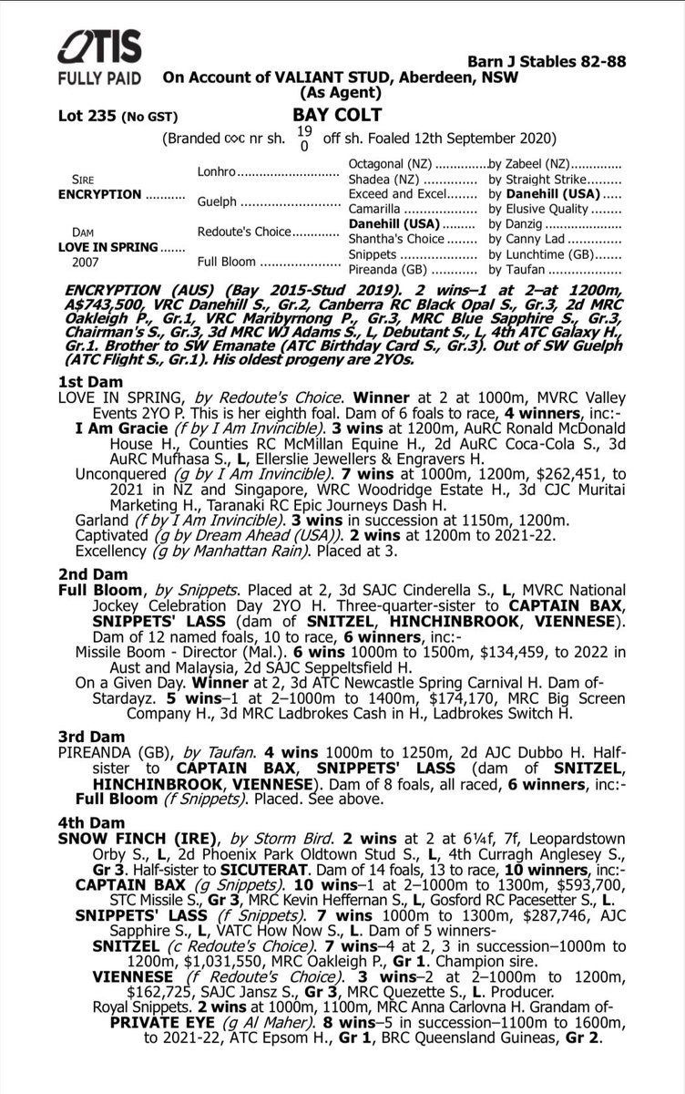 GrangeWoodville's tweet photo. We are very excited to offer with @StudValiant in the upcoming @inglis_sales Ready 2 Race sale Lot 116, a More Than Ready X Amplified colt and Lot 235 an Encryption X Love in Spring colt, the only Encryption progeny in the catalogue. #robertquinnracing #Grangebloodstock https://t.co/JGjr9D5Cm5
