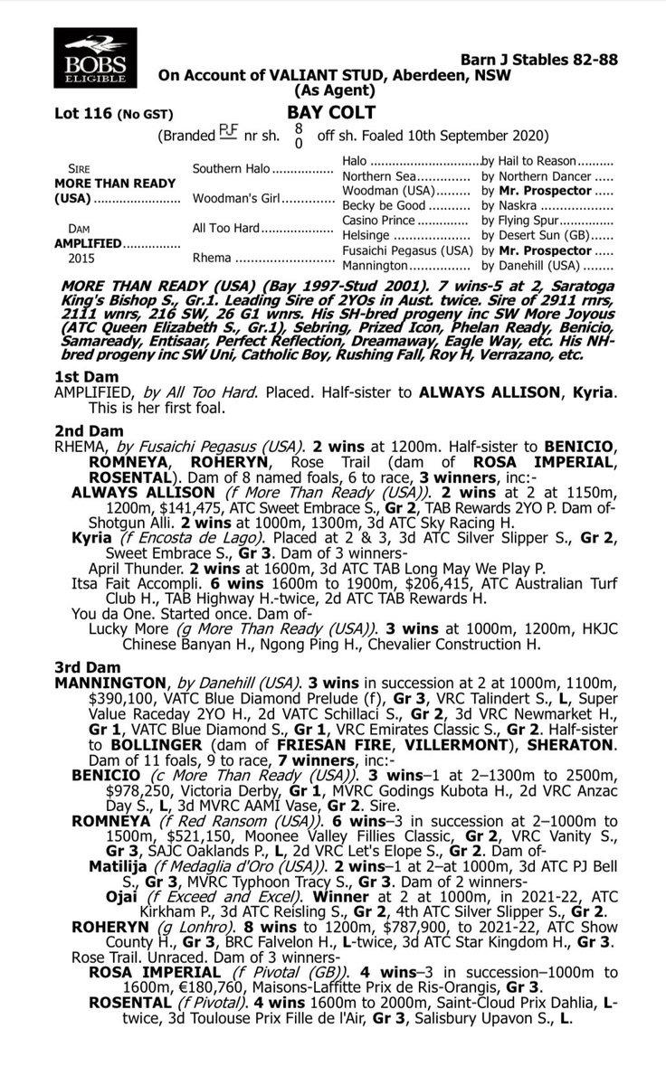 GrangeWoodville's tweet photo. We are very excited to offer with @StudValiant in the upcoming @inglis_sales Ready 2 Race sale Lot 116, a More Than Ready X Amplified colt and Lot 235 an Encryption X Love in Spring colt, the only Encryption progeny in the catalogue. #robertquinnracing #Grangebloodstock https://t.co/JGjr9D5Cm5