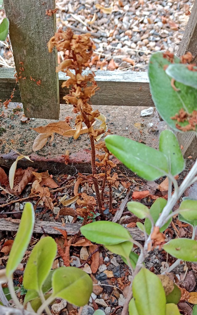 Alastair Culham tweet media