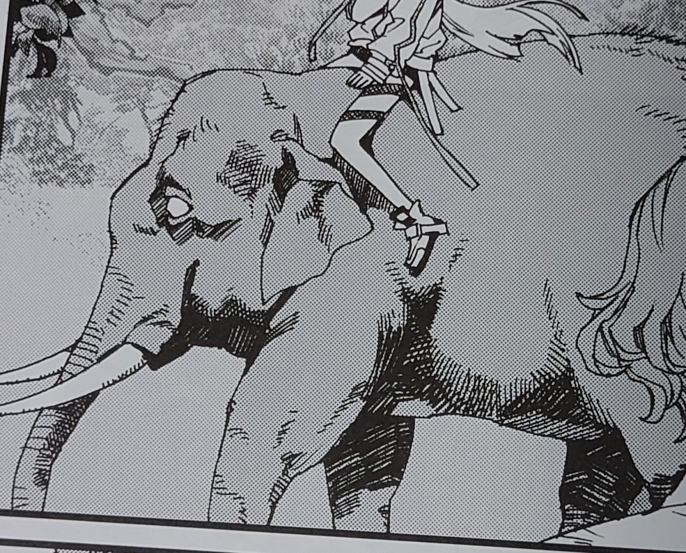 p23
象はこんなふうに歩きません!側対歩と言って、右前肢と右後肢が同時に出る歩き方でキリンなどと同じです。ちゃんと資料見ながら描いたのに何やってんだ…大変失礼いたしました😓