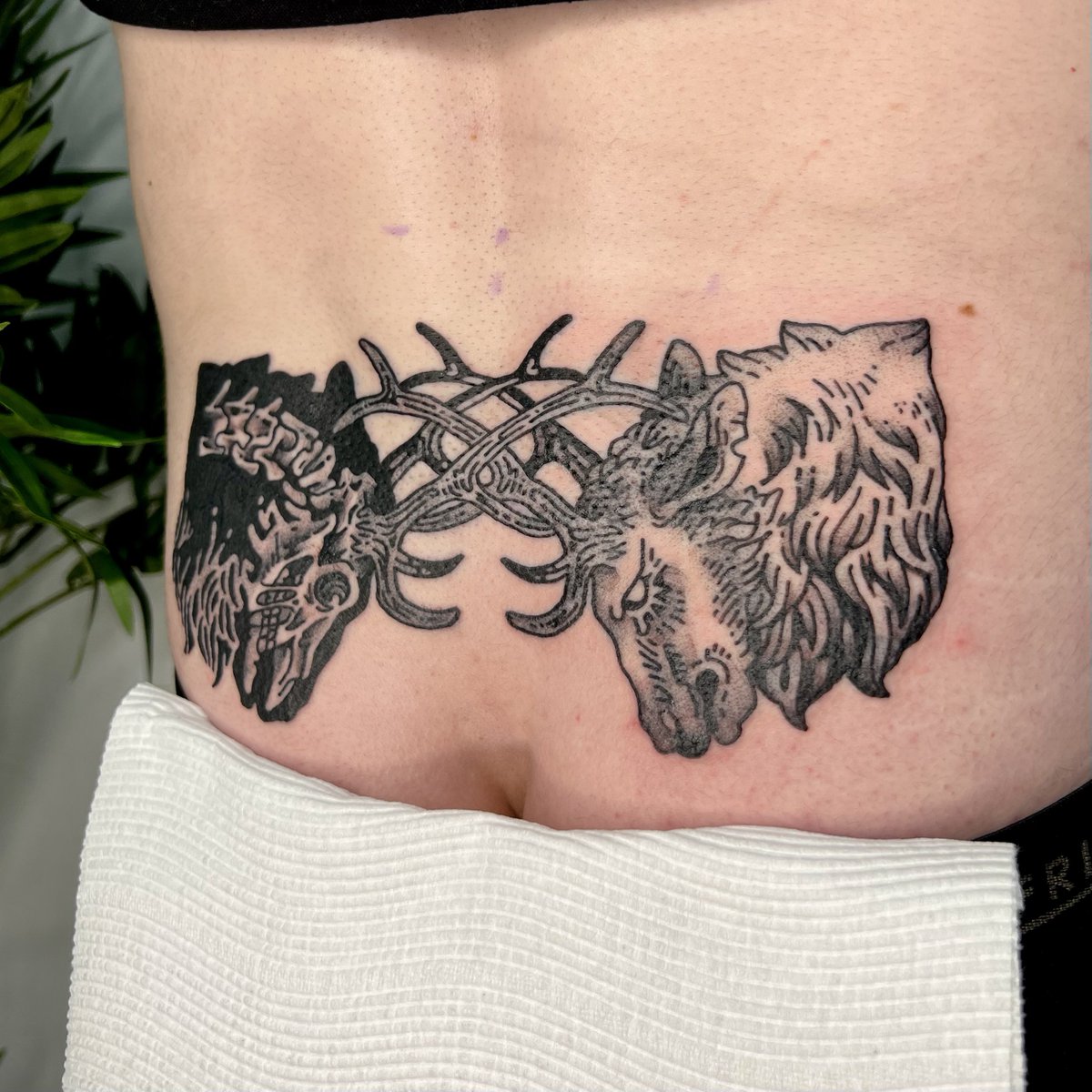 Babies’ first tramp stamp 🦌🦌