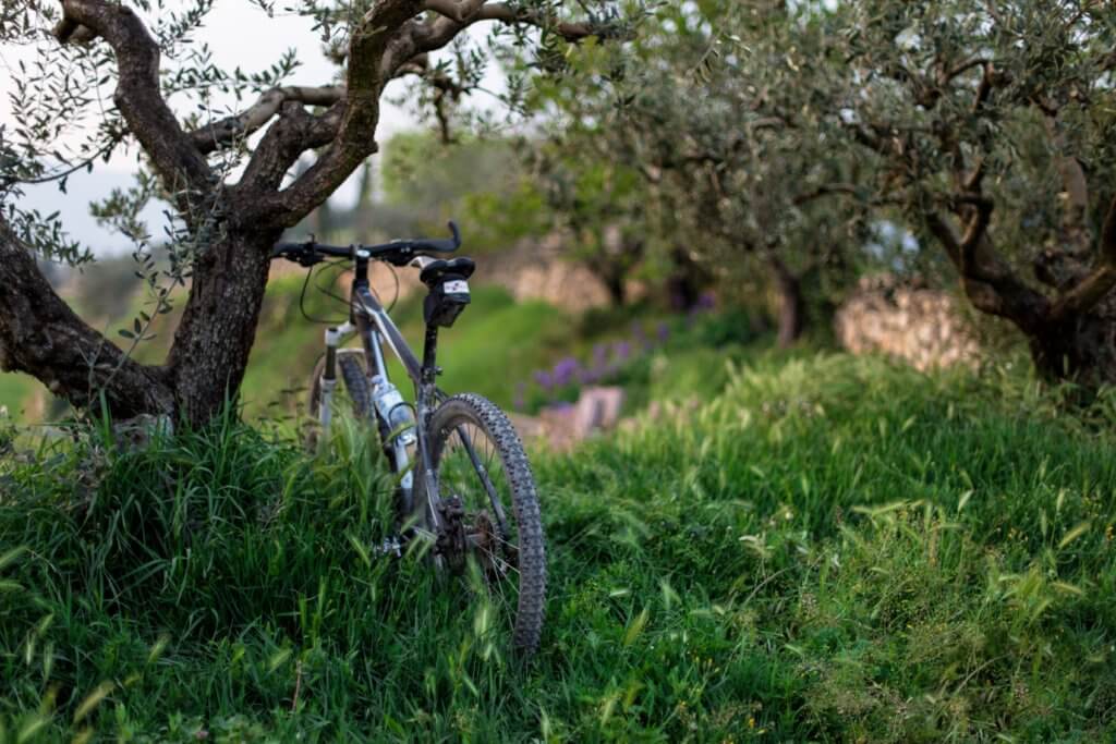 terresebretur's tweet photo. 🌿 Si us agrada anar amb bicicleta, el proper divendres 19 no us perdeu la sortida amb bicicleta elèctrica "Pedalant per #Sebes".

🕐 10.30h
ℹ️ https://t.co/OsiEAimPxu

@FlixTurisme @reservanatsebes @RiberadEbreTur

#Flix #TerresdelEbre https://t.co/w0g3Hrjb1x
