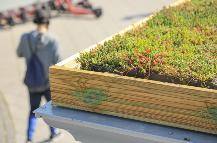 wallbarn's tweet photo. Do your bit!! Help improve your local environment with the installation of a new green roof. Perfectly suited to areas of all size!
#greenroofs #greenroof #wildflowers #sedum #yearround #research #testing #sedumgreenroof #wildflowergreenroof #mtray https://t.co/9bApEQoJ0y