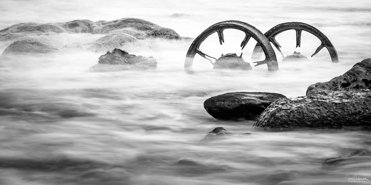 Ian Hanlon tweet media