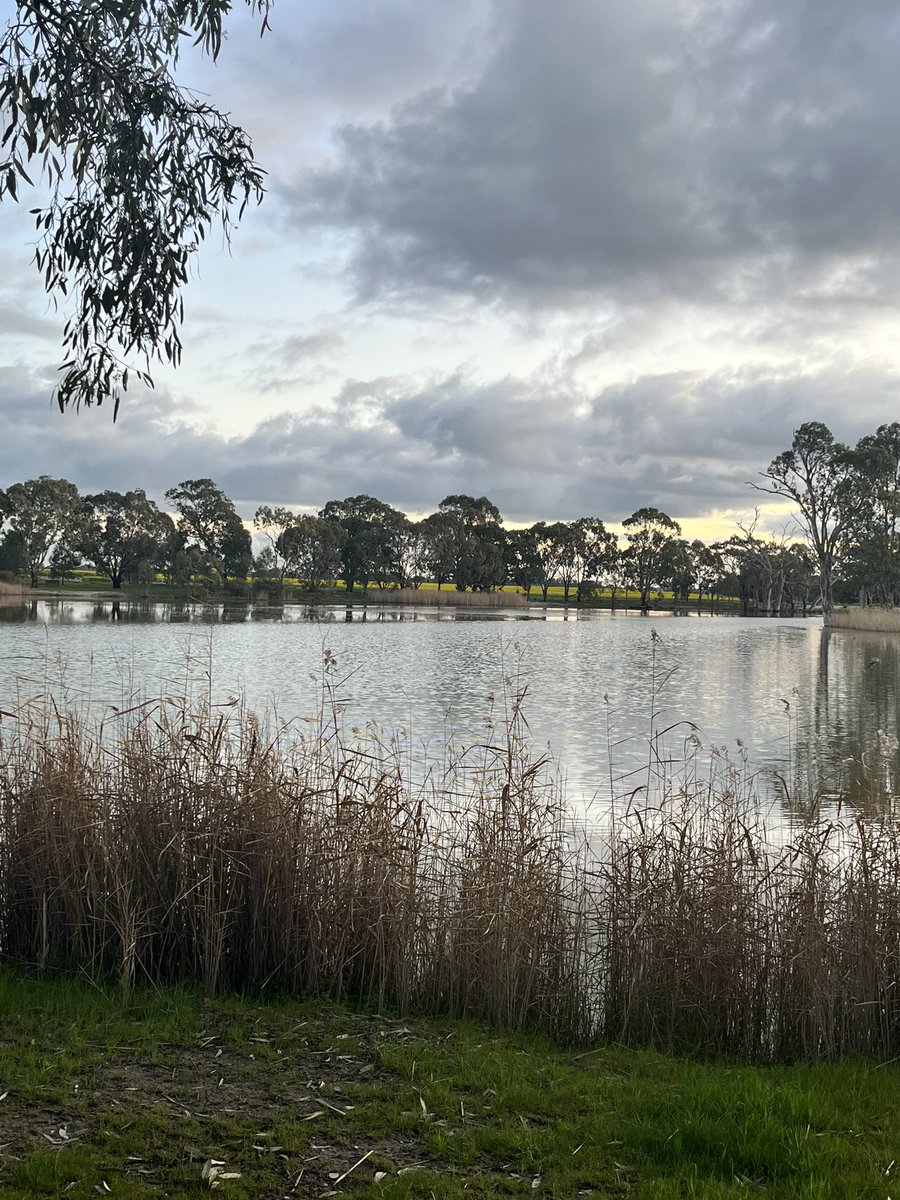 Emily Wandel tweet media