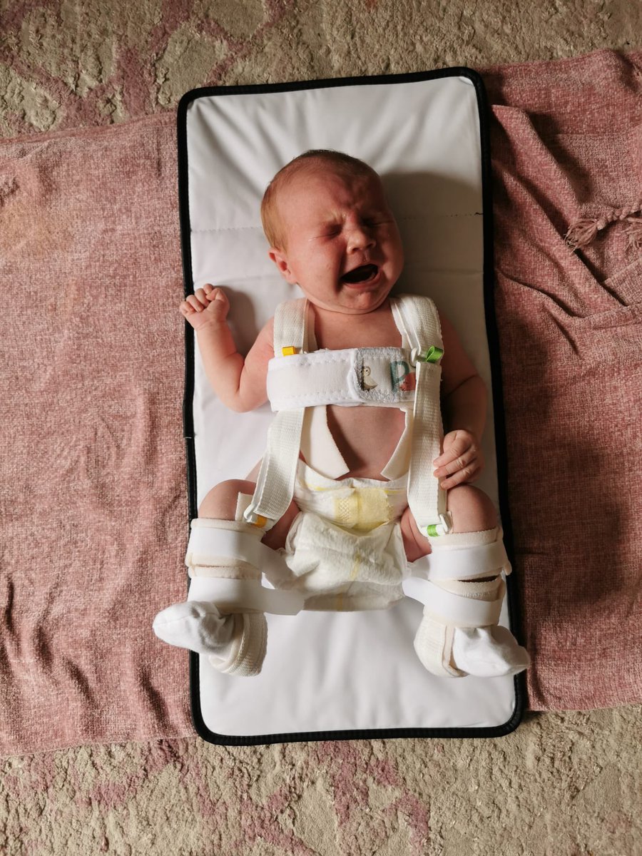 Stevie Dougal tweet media