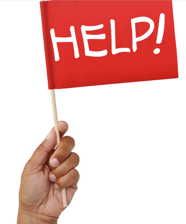 Attie Schipper tweet media