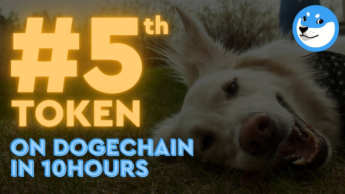 GoodBoy_DogeC's tweet photo. Things to look forward today: 
✅ Whitepaper and Roadmap
✅ New Marketing Initiatives 
✅ First Donation 
Things to look forward this week: 
✅ New Utility for $GBOY 
✅ Website V2 
✅ First AMA 
We are going to do our best for #GoodBoys and #DogeChain. 
Stay tuned 😎🔜 https://t.co/wIlzr2XyKJ
