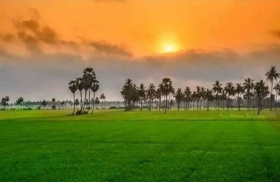 anandmahindra's tweet photo. May all days dawn with these colours from now on. Onwards to the 100th anniversary of our Independence… 🇮🇳 https://t.co/6H75bunovc