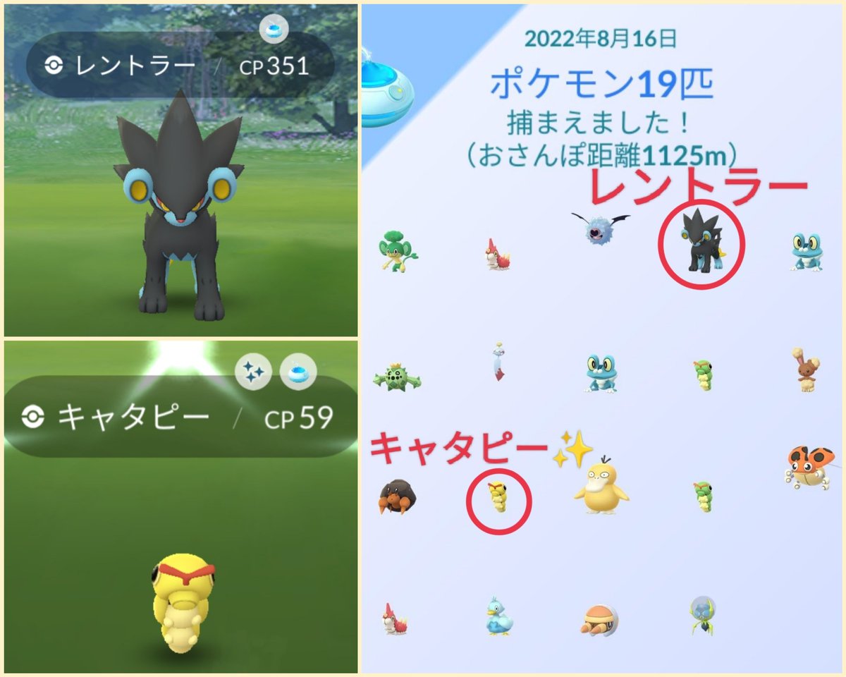 ポケモンgo レントラーの色違い 入手方法と実装状況 攻略大百科
