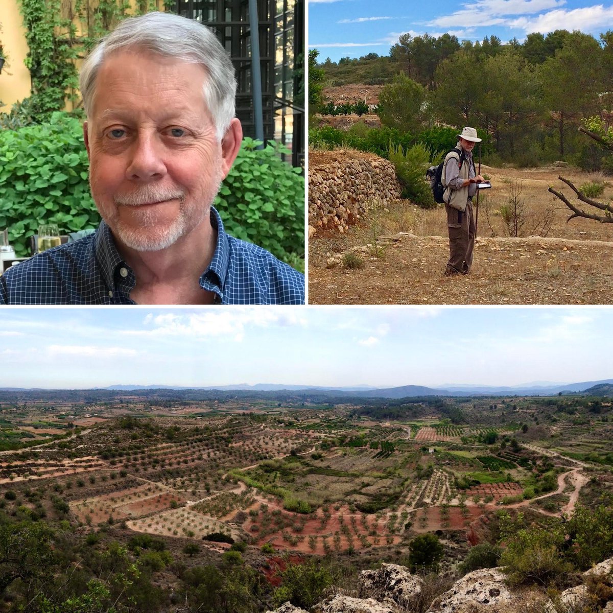 School of Human Evolution and Social Change tweet media