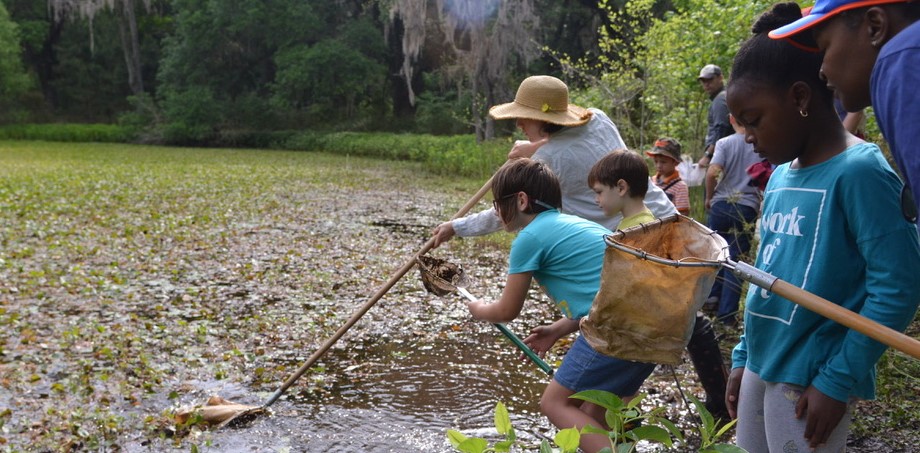 In Gainesville on September 17? Join us for the next fabulous, nerdy, family-friendly BUG WALK! More info here: alachuaconservationtrust.org/upcoming-event…