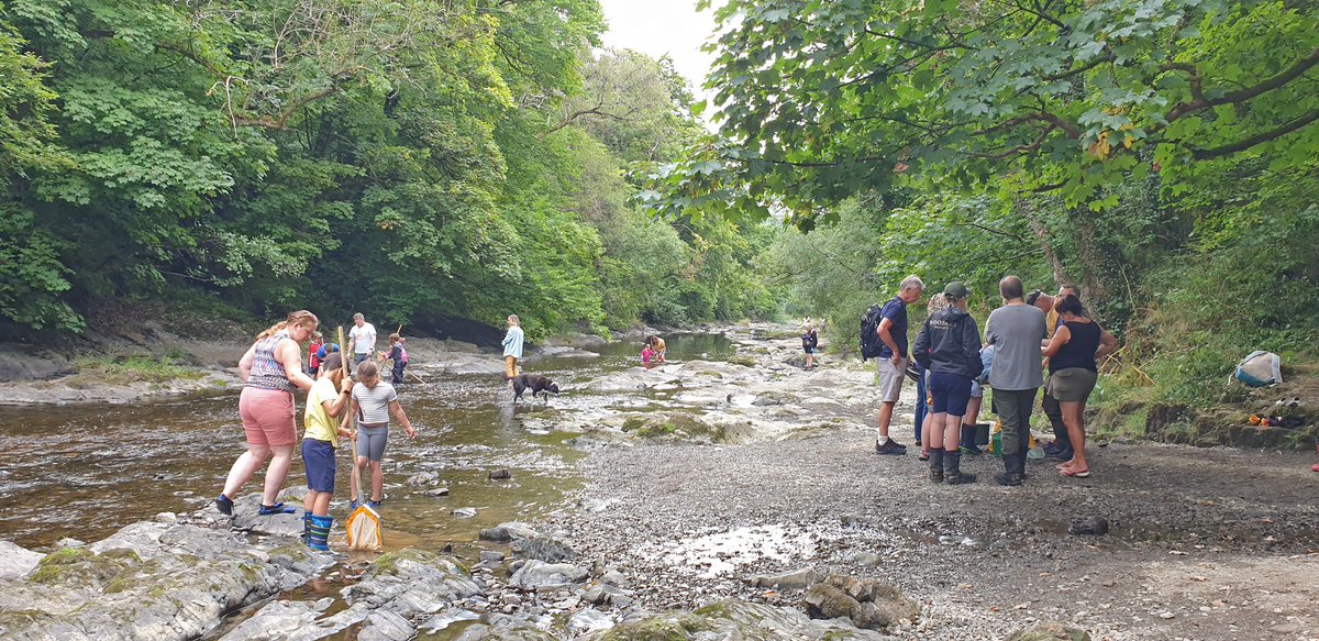 MontWildlife's tweet photo. Thank you to everyone who joined us in #DeriWoods this morning. We had a great time discovering the fantastic wildlife in the Banwy river, learning about the threats they face & what we can do to help.
#GreenConnectionsPowys #WaREN #EcosystemInvaders #LlanfairCaereinion https://t.co/bhm3ie6nM8