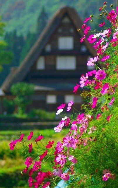 ImperfectGirl07's tweet photo. 💟

Do your little bit of good where you are ; its those little bits of good put together that overwhelm the world. 

📝 Desmond Tutu 
📝 Nobel Peace Prize 1984 https://t.co/6Z1dZ6uiFW