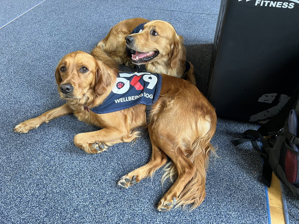 CassieAndClaude's tweet photo. So we popped up to Colchester today to visit some officers who have had to deal with some very sad incidents recently. Spirits raised a little. #copsarepeopletoo @OscarKiloNine @BJH251 @PBaloo @OscarKiloUK https://t.co/2IRmbOgNpJ