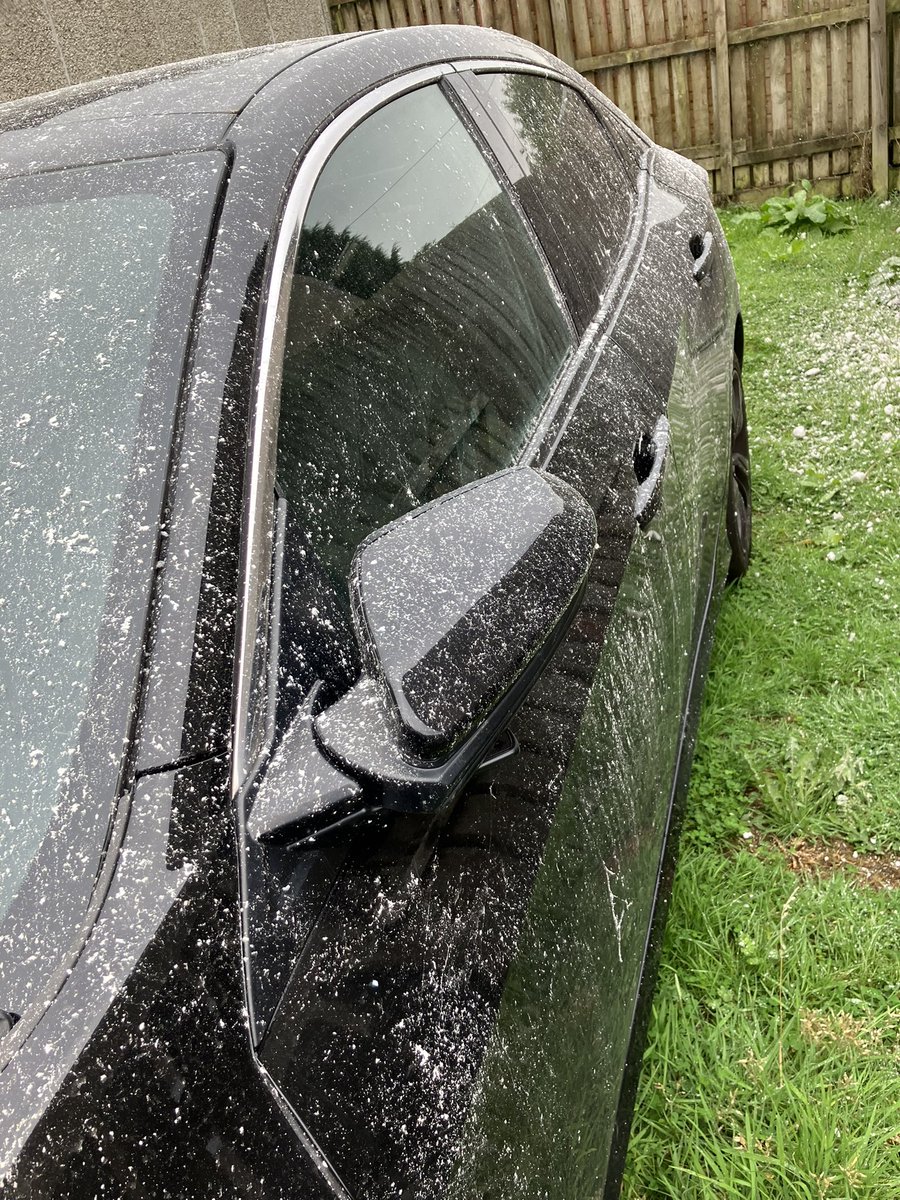 Liz unay tweet media