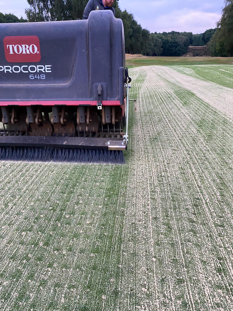 mattwhiting31's tweet photo. Great work from the team over the last couple of days, smashing out renovations before the storm this afternoon. All finished off with the usual overseed of Crystal Bluelinks. @T2GBentgrass @turfcarescott @AspleyGuiseGolf #greenkeeping #Golf @DanMead01 https://t.co/imPm614vMi