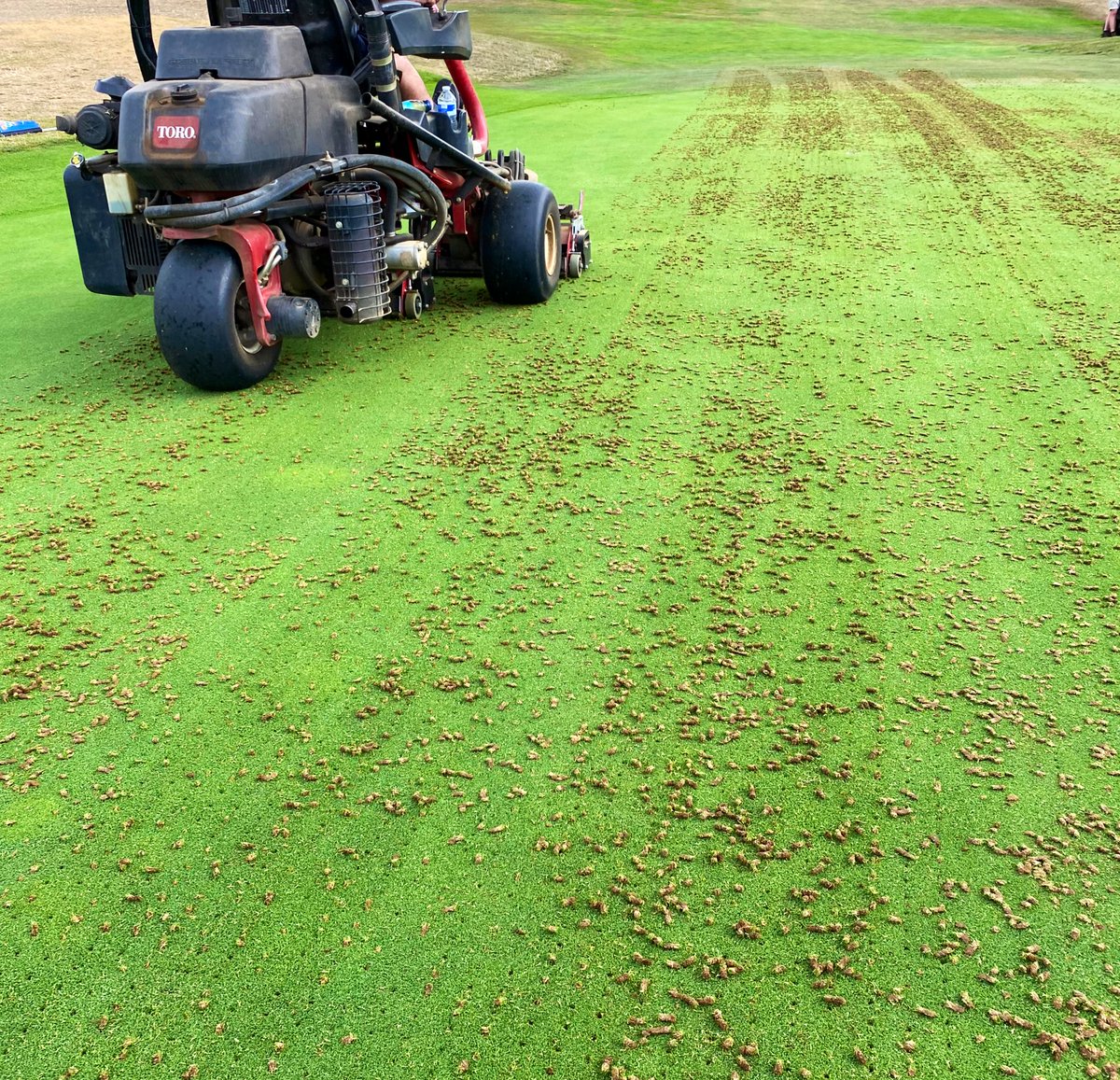 mattwhiting31's tweet photo. Great work from the team over the last couple of days, smashing out renovations before the storm this afternoon. All finished off with the usual overseed of Crystal Bluelinks. @T2GBentgrass @turfcarescott @AspleyGuiseGolf #greenkeeping #Golf @DanMead01 https://t.co/imPm614vMi