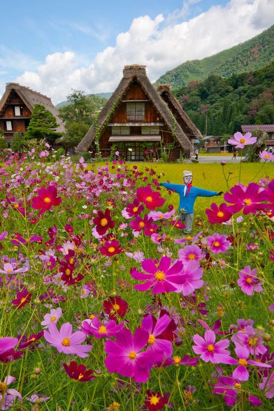 ImperfectGirl07's tweet photo. 💟

Do your little bit of good where you are ; its those little bits of good put together that overwhelm the world. 

📝 Desmond Tutu 
📝 Nobel Peace Prize 1984 https://t.co/6Z1dZ6uiFW