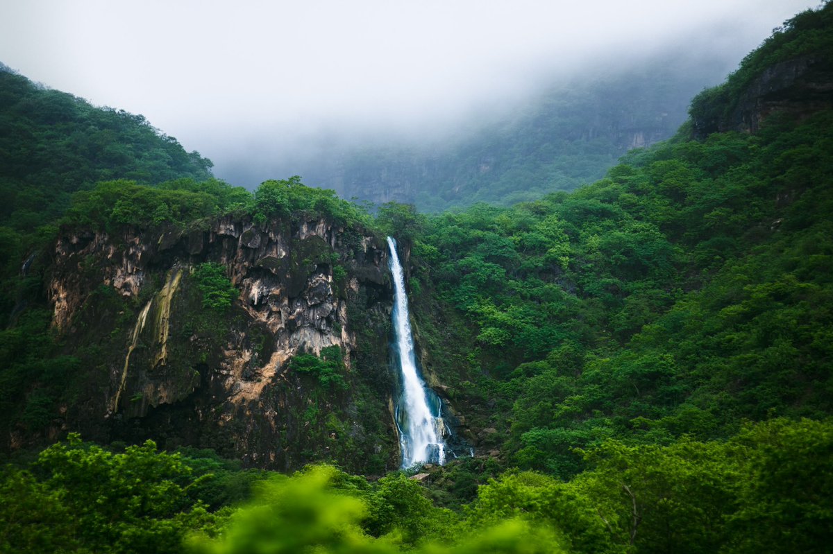 سحر الطبيعه 🇴🇲✨ 

شلال اعدي ( غيّاض )
منطقة الحوطة | ولاية رخيوت 

#خريف_ظفار_2022 #عمان #ولاية_رخيوت