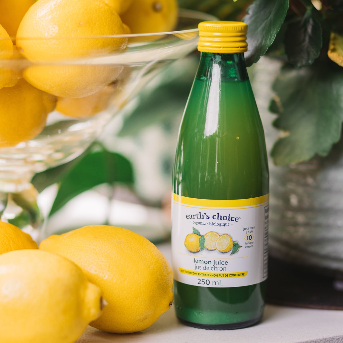 Lemon juice made with organic lemon juice. So simple it sounds stupid. #MyEarthsChoice