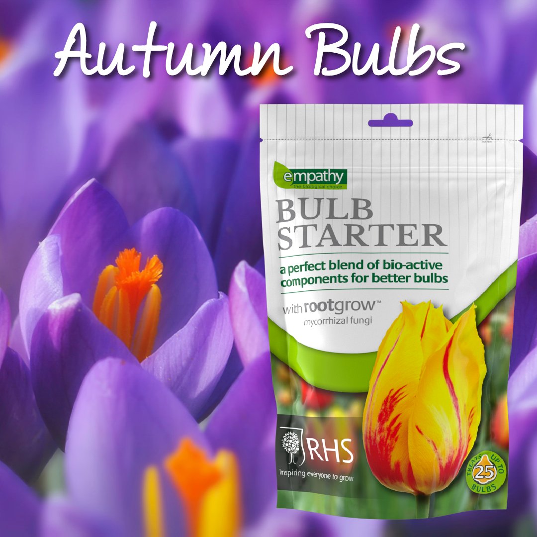 empathyrootgrow's tweet photo. August is the time to plant autumn flowering bulbs and corms! Autumn crocus produce wonderful displays on rock gardens and border edges. Don’t forget to add Empathy Bulb Starter to the planting hole to support healthy growth and flowering
📷️ Erik van Dijk on Unsplash
#bulbs https://t.co/MkUSjVC3RC