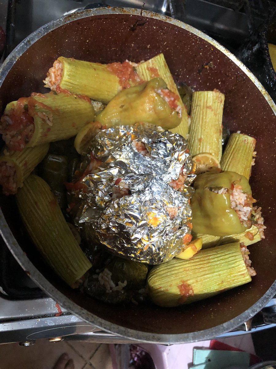 ١٦/٨/٢٠٢٢. اول حلة محشي اعملها ف حياتي وطلع اكلي حلو😂❤️‍🔥❤️‍🔥❤️‍🔥❤️‍🔥❤️‍🔥❤️‍🔥