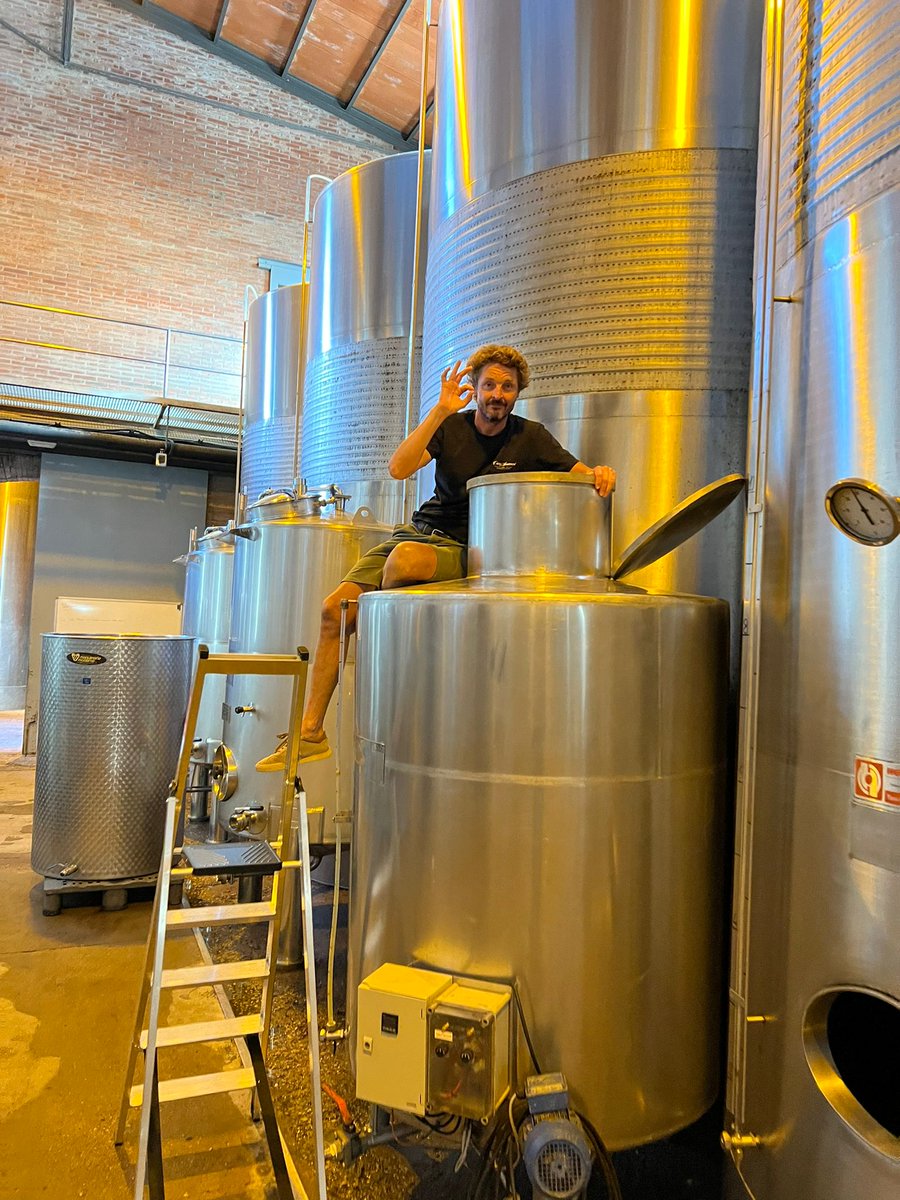 RaventosiBlanc's tweet photo. [VEREMA 2022]
Moments al #celler, ja hem començat el #desfangat dels #macabeus: el #most💧 està fermentant al celler i toca treure la part més terrosa, acumulada durant la #collita2022 https://t.co/jLD5a7kwOp