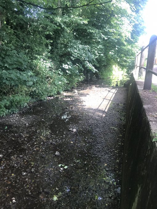 I've just seen an <a href="/AffinityWater/">Affinity Water 🦆</a> van in my local supermarket, nice new livery featuring a nice little river, some nice ducks and some even nicer flowers.

"Talking care of your water".

Here's the reality of what "taking care of", looks like. Meet Hertfordshire's chalk streams.