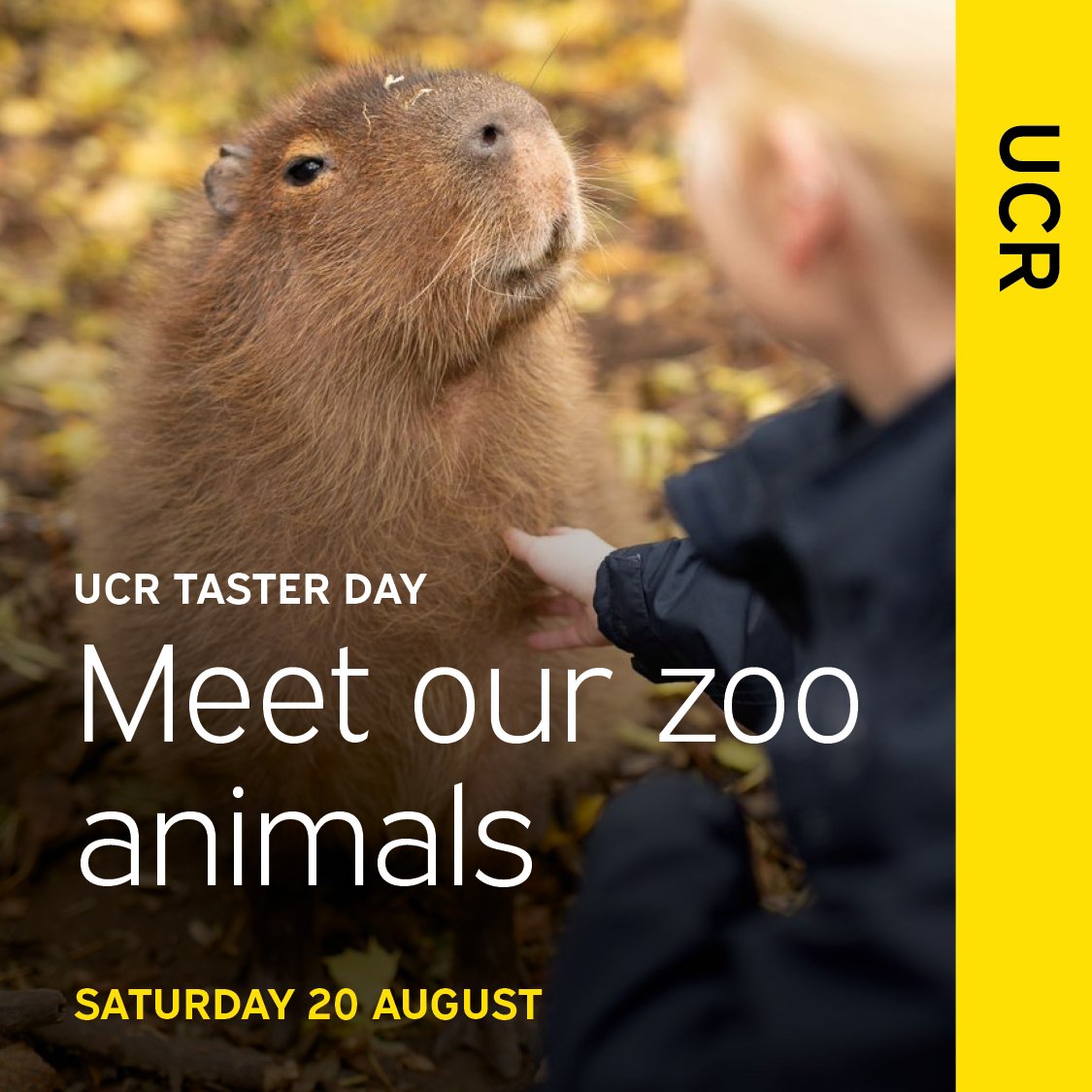 Reaseheath's tweet photo. There are still a limited number of spaces left on our UCR Taster Sessions this Saturday 20th August.
π² Register now: https://t.co/1ZGlbStRgi
#ItsInOurNatureUCR #Reaseheath #openday #event #Nantwich #Cheshire #clearing #clearing2022 #UCASClearing #ResultsDay #ResultsDay2022 https://t.co/M54ED53jcI