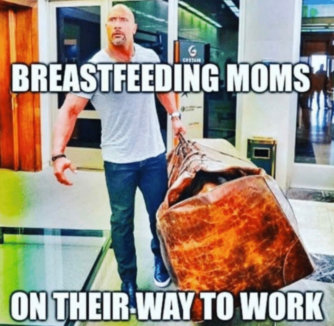 Amazonmamas's tweet photo. Haha so true! Luckily I have the perfect pumping bags, Check my links.

#breastmilk #breastmilkstorage #exclusivelypumping #EPing #exclusivepumper #pumpingMom #breastmilksupply #pumpingisbreastfeedingtoo #pumpingmama #pumpingmilk #pumpingatwork #milkmaker #motherhood #momlife https://t.co/E0nedrVduj
