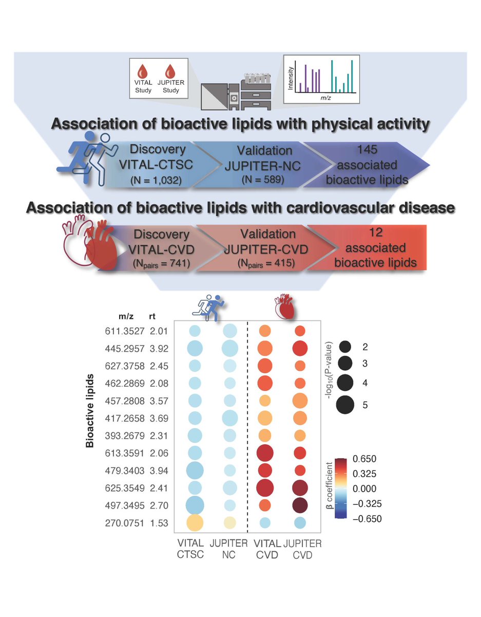 Hoshi et al found some bioactive #lipids associated with physical activity presented a relationship with #CVD, but opposite. Learn how lipids increased with #exercise are likely to reduce the risk of CVDs. ahajrnls.org/3PAAm1O 
<a href="/RosangelaHoshi/">Rosangela Hoshi</a> <a href="/SamiaMoraMD/">Samia Mora</a> <a href="/odemler/">Olga Demler</a> <a href="/TiwariSaum/">Saumya Tiwari</a>
