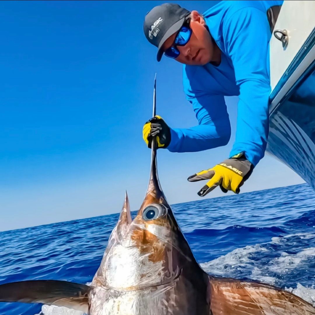 TagBillfish's tweet photo. Interested in becoming a member of The Billfish Foundation (TBF)? If you’re passionate about billfish and sportfishing, then become a TBF member today! Ask us about memberships today! #membership #join #tbf #billfish
Photo Credit: Samuel Urbain https://t.co/k6MEYdLup9