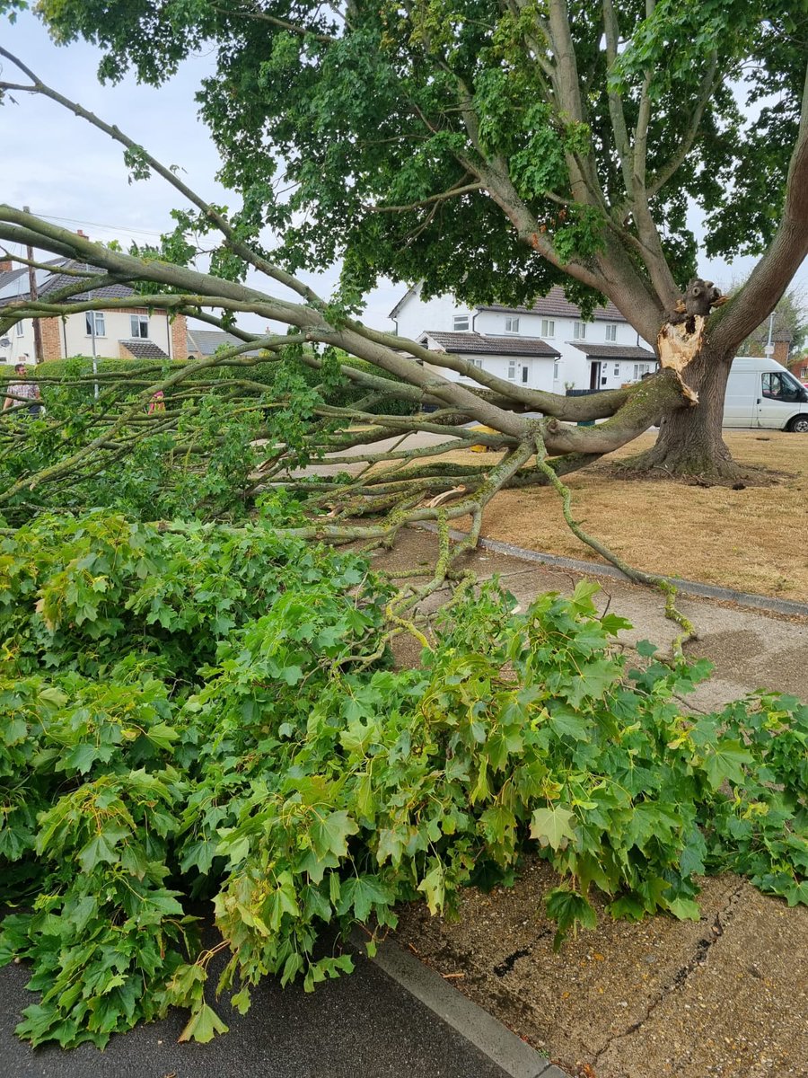 Jenny Searle tweet media