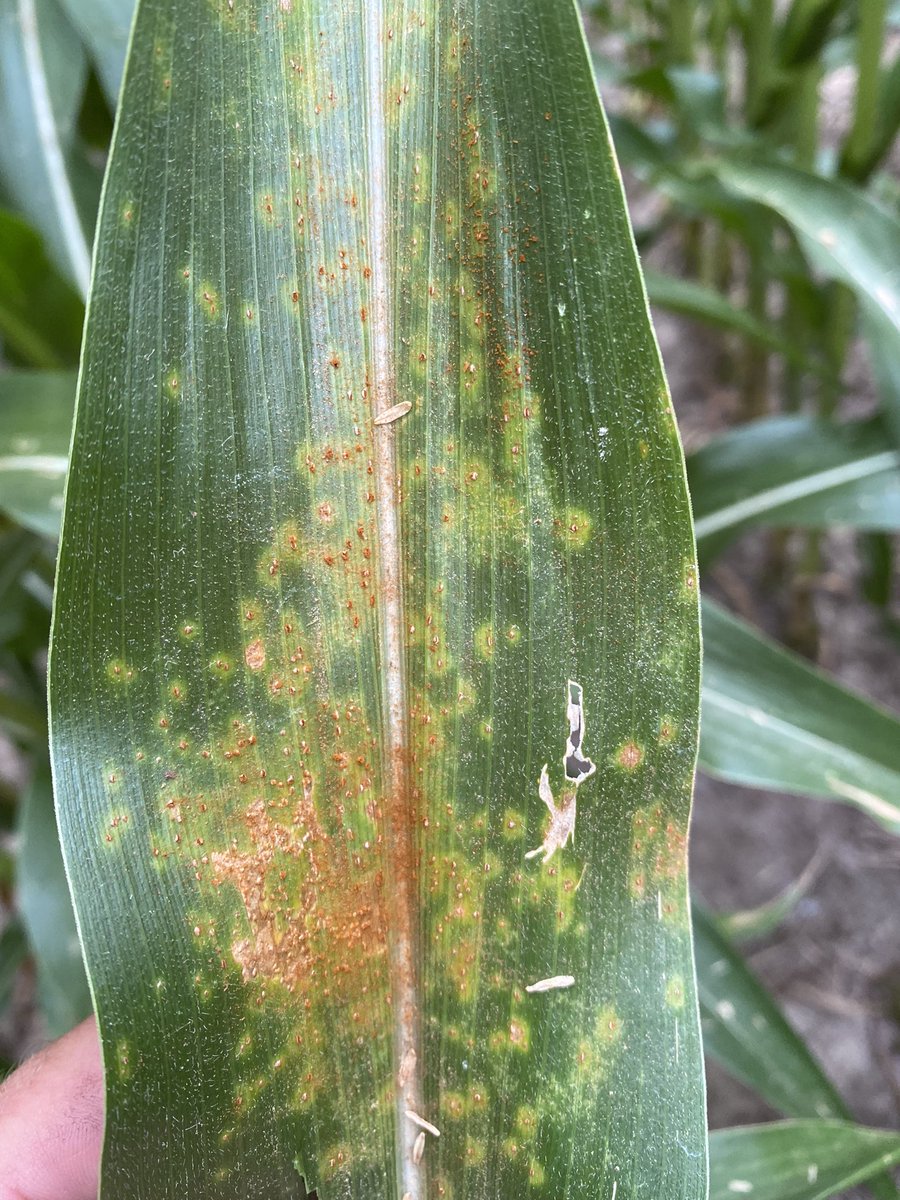 Seth Logan tweet media