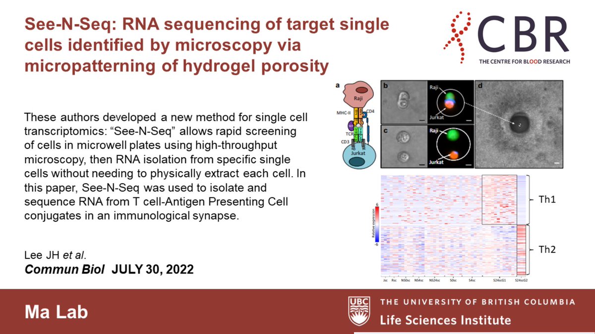 ubclifesciences's tweet photo. LSI Paper of the Day☀️

Uniting #microscopy with #singlecellsequencing, Drs. Hongshen Ma and JeongHyun Lee have developed a new high-throughput screening method for RNA sequencing of single target cells in #microwell plates using #micropatterning.

@CommsBio https://t.co/zEFTOq0VjG