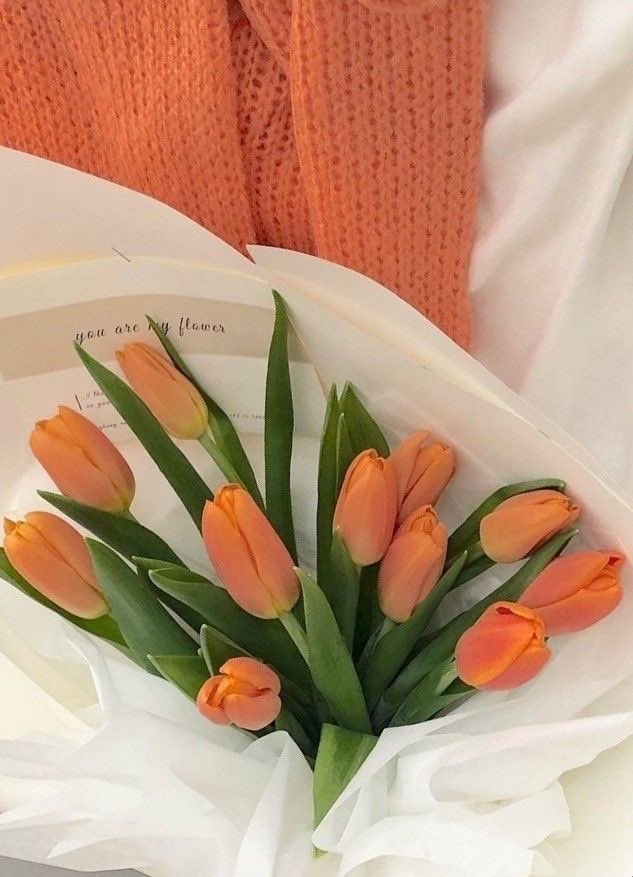 leeipsa's tweet image. 𝘚𝘩𝘦 𝘪𝘴 𝘵𝘩𝘦 𝘰𝘳𝘢𝘯𝘨𝘦 𝘵𝘶𝘭𝘪𝘱 𝘵𝘩𝘢𝘵 𝘣𝘭𝘰𝘰𝘮𝘴 𝘪𝘯 𝘈𝘶𝘨𝘶𝘴𝘵.

Eye-catching appearance is shown by the lady with the sweetest clementine smile. What a sight for sore eyes; she looks so dreamy and magical. Feel the thrill of happiness everywhere with MyShell!