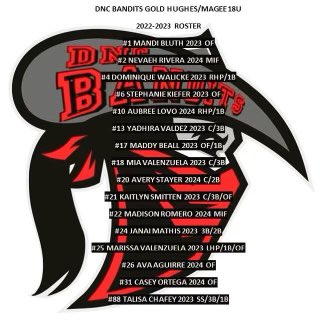 Introducing the 2022-2023 DNC Bandits 18U!