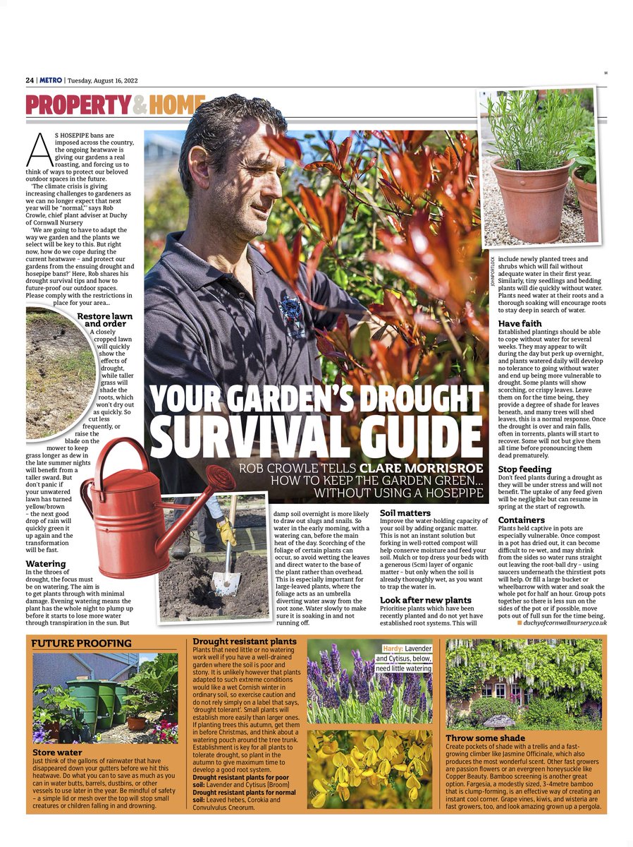 For anyone worried about the effect of hosepipe bans on their garden, check out some top tips we secured in the Metro today from our client @DuchyNurseryhead's chief plant advisor.