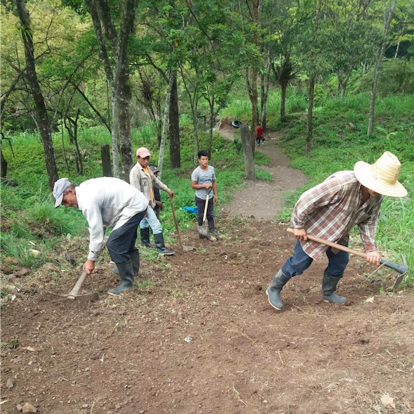 JustHopeNica's tweet photo. The road to La Flor is only passable for some of the year, but is very important. It stays in fine condition, thanks to the hard work of the community to provide maintenance, cleaning, cutting the grass, and filling holes so that the road doesn't degrade.
https://t.co/cLQTsroqWk https://t.co/0z7X5CCN2T