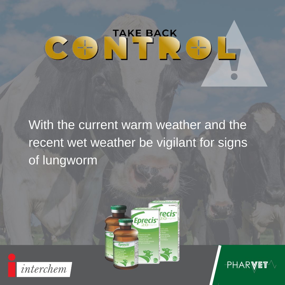 FarmingFocus's tweet photo. Keep an eye out for coughing cows❗❗
Current weather conditions are ideal for lungworm🌨⛅
Click the link in our bio to read our blog on the lifecycle of the lungworm #TakeBackControl #Eprecis https://t.co/EUqLaeCxr8