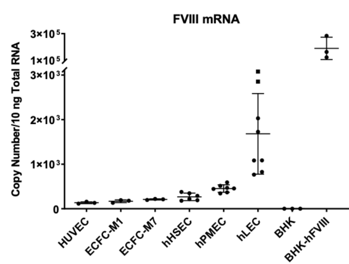 _MatthewCormier's tweet photo. FVIII is expressed predominantly in human LYMPHATIC endothelium in vitro!! 🤯👀

A study from our group investigates #FVIII and #VWF expression and secretion in many human cell lines using very sensitive methods! Great work! @DavidLillicrap @crpnotley https://t.co/d3uGJFgJTB https://t.co/ClUjI1xny8