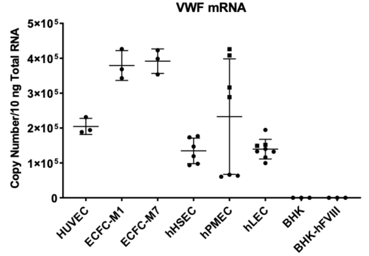 _MatthewCormier's tweet photo. FVIII is expressed predominantly in human LYMPHATIC endothelium in vitro!! 🤯👀

A study from our group investigates #FVIII and #VWF expression and secretion in many human cell lines using very sensitive methods! Great work! @DavidLillicrap @crpnotley https://t.co/d3uGJFgJTB https://t.co/ClUjI1xny8