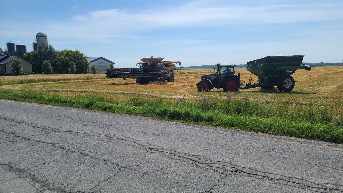 gpsontario's tweet photo. Lots of wheat still coming off in Ontario.@Trimble_Ag TmX-2050 with Vehicle to Vehicle Sync ready for it's bigger brother an @CLAAS_America 7500TT to join in the fun! #wheat #ontag #gpsfun https://t.co/uPCXsfsPUS