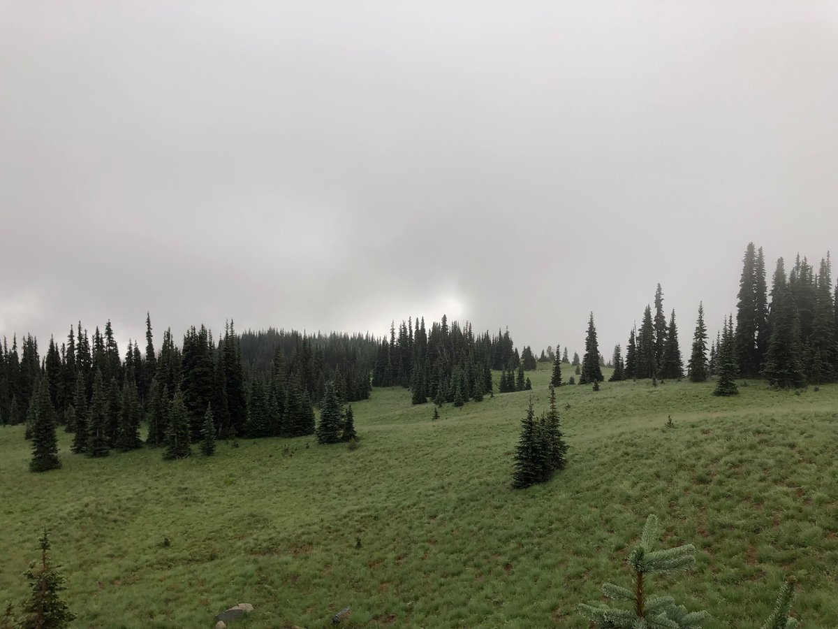 Haley (@grandmaseyes) on Twitter photo 