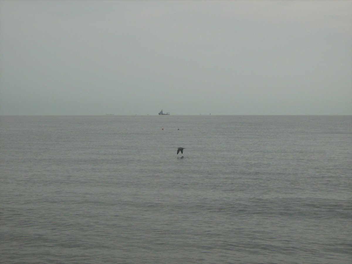 jonnyald's tweet photo. down at Felixstowe beach #foggyarvo #calmseas #tempdrop #ship #horizon #driftwood #pierhouse #imadethis #suffolk #coast https://t.co/nuZK1H9rJy